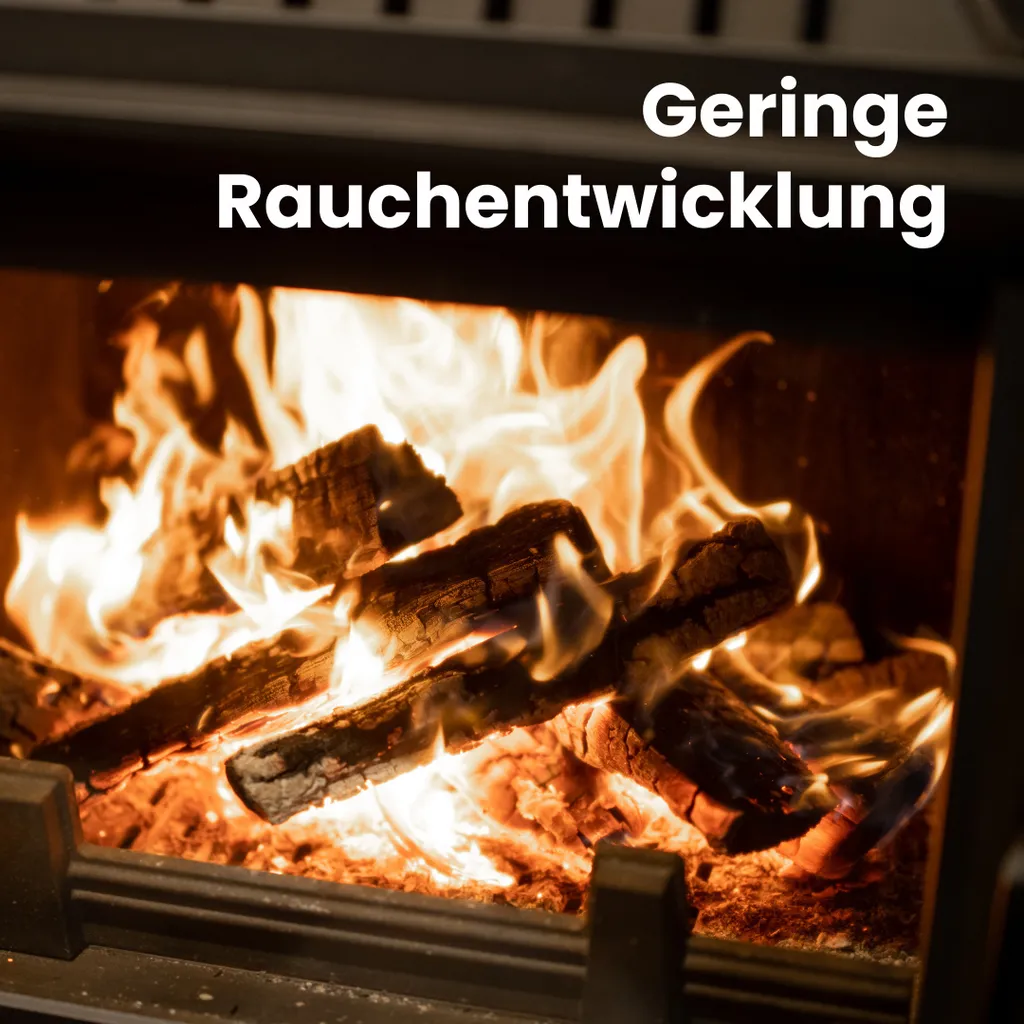 1 RM PREMIUM Buchen Brennholz | 25cm | kammergetrocknet | auf Palette | 500kg | Kaminholz | 1,6 SRM – Bild 2