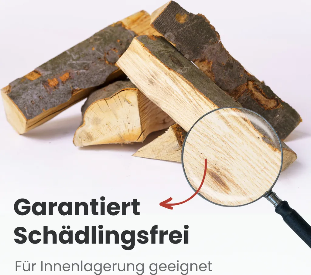 1 RM PREMIUM Buchen Brennholz | 25cm | kammergetrocknet | auf Palette | 500kg | Kaminholz | 1,6 SRM – Bild 5