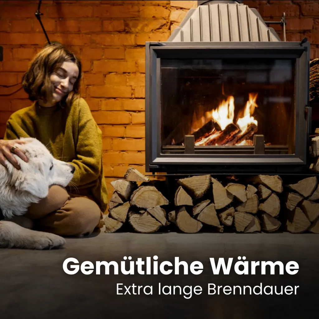 1 RM PREMIUM Buchen Brennholz | 25cm | kammergetrocknet | auf Palette | 500kg | Kaminholz | 1,6 SRM – Bild 3