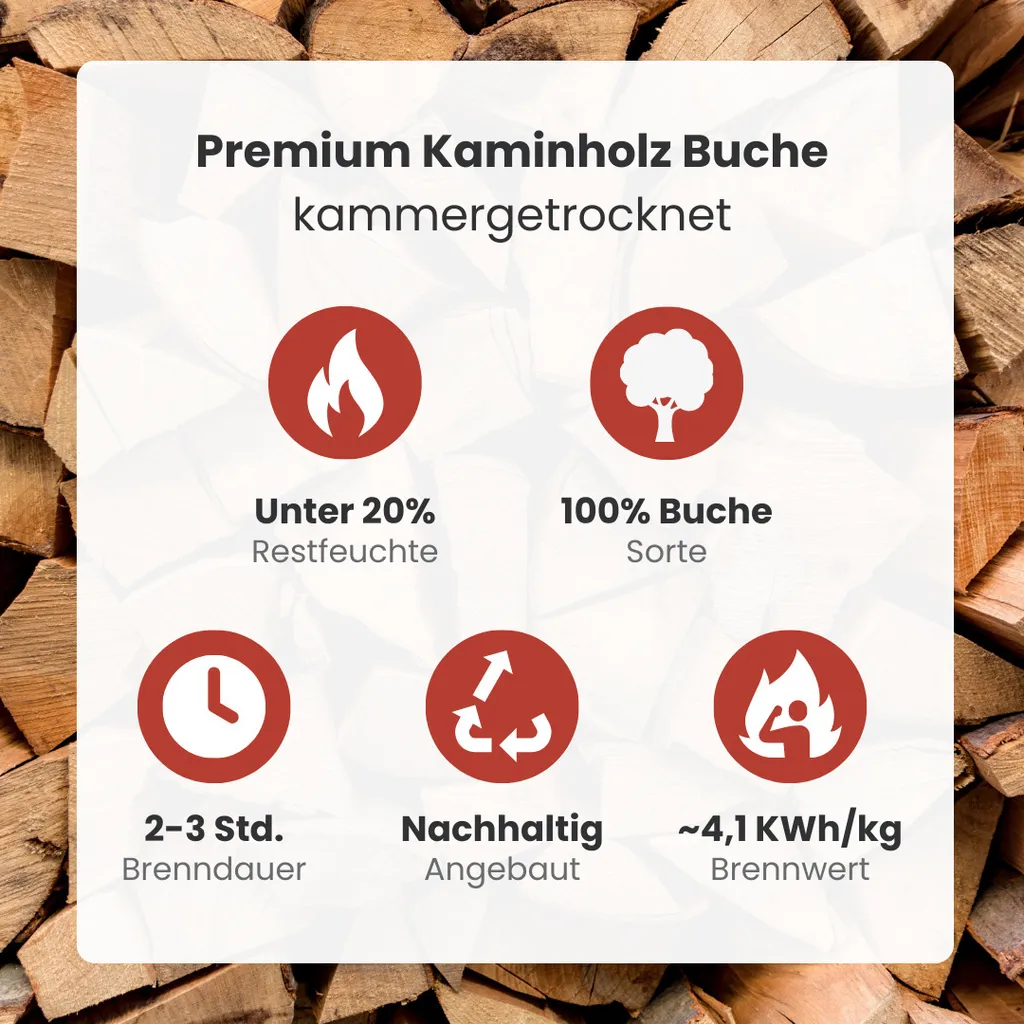 1 RM PREMIUM Buchen Brennholz | 25cm | kammergetrocknet | auf Palette | 500kg | Kaminholz | 1,6 SRM – Bild 4